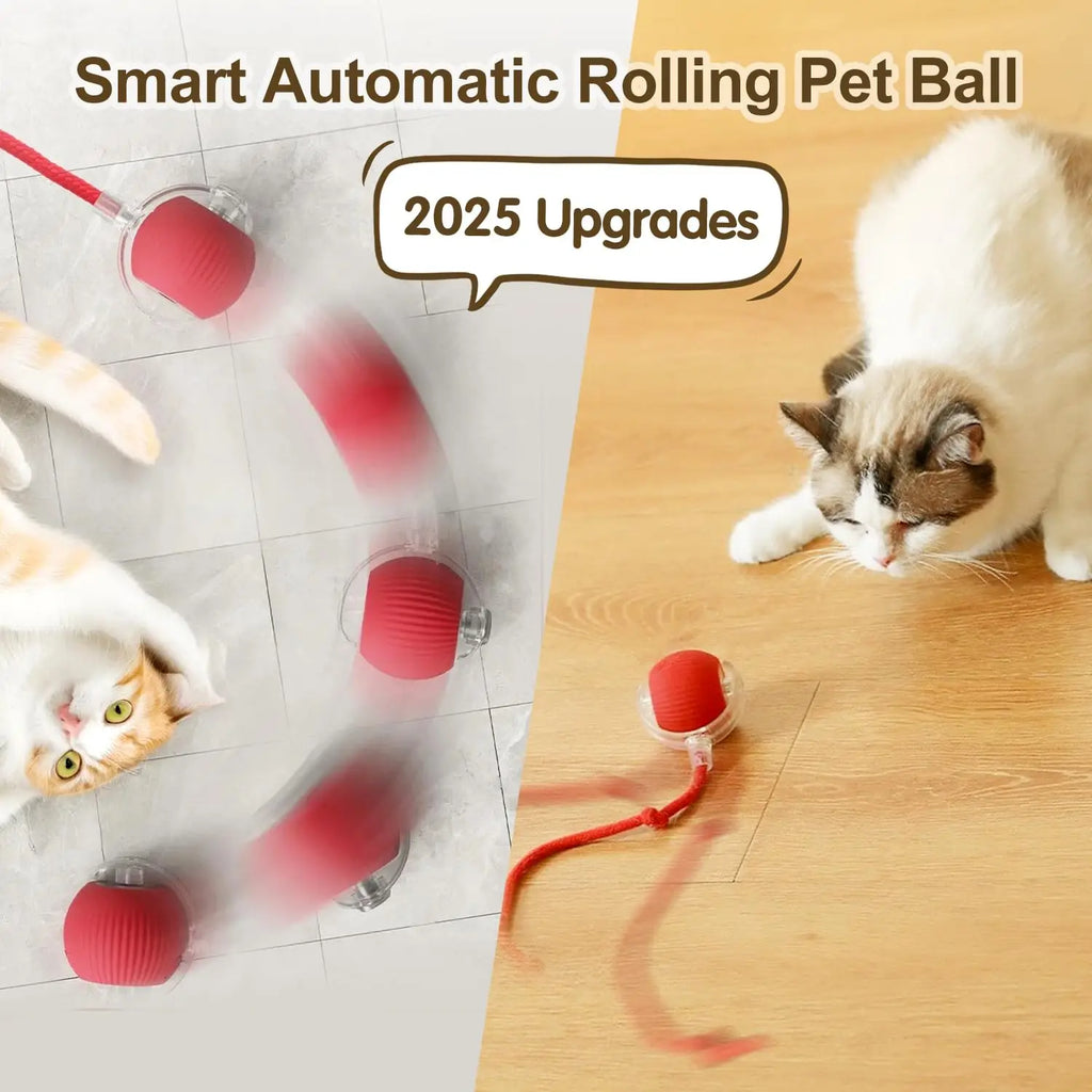 Pelota Interactiva Inteligente para Gatos | Juguete Automático Recargable con Cola y Sensores