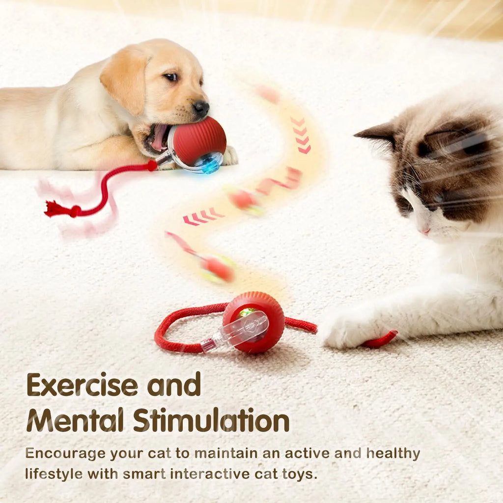 Pelota Interactiva Inteligente para Gatos | Juguete Automático Recargable con Cola y Sensores