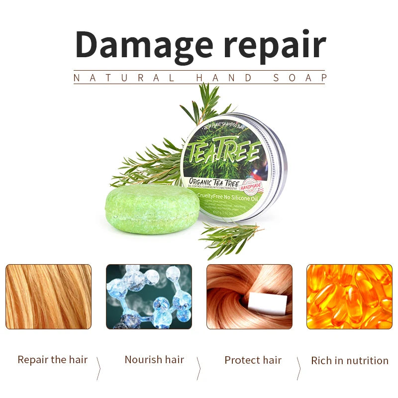 Shampoo sólido artesanal de árbol de té | Anticaspa y control de grasa