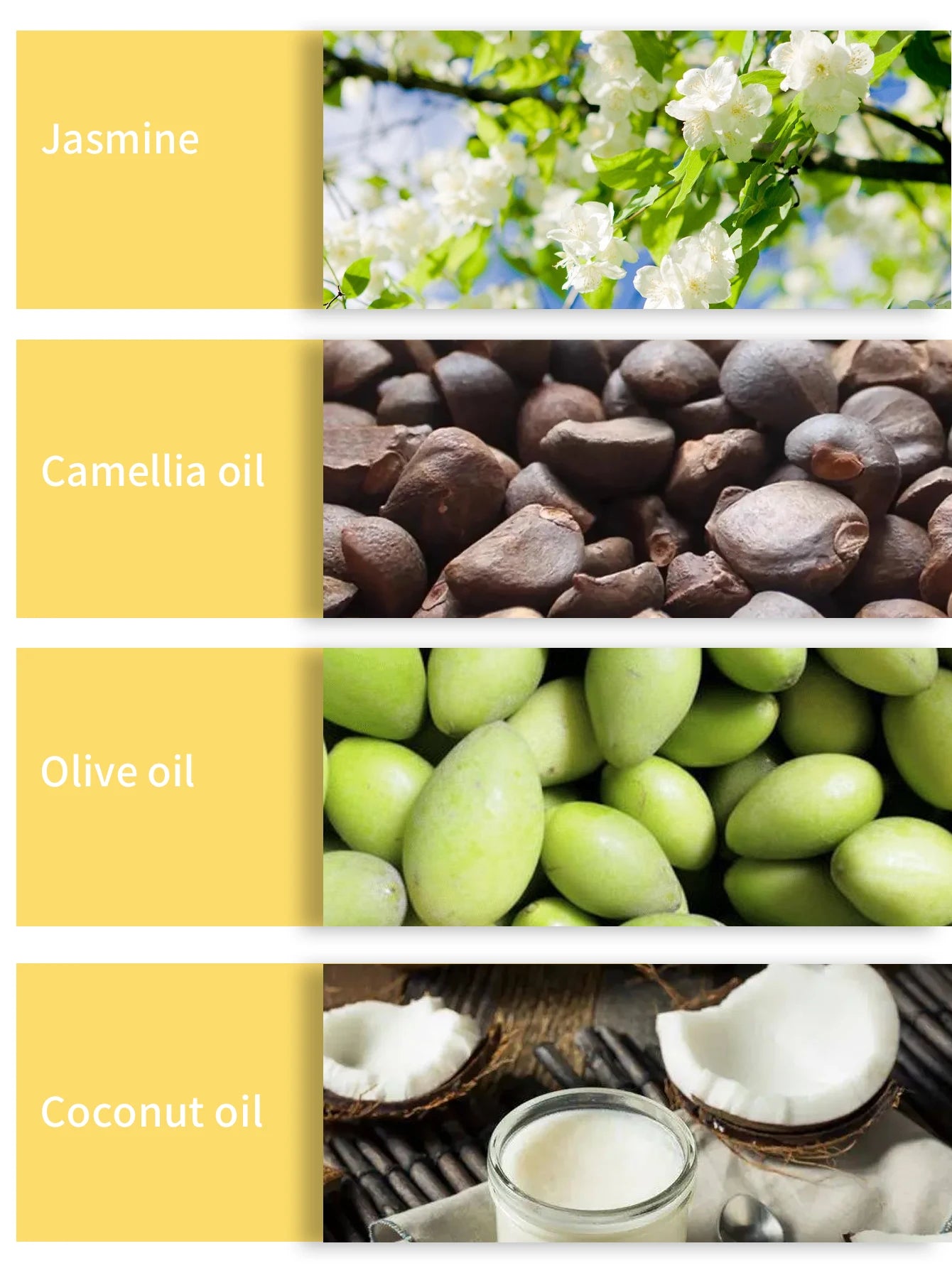Shampoo sólido artesanal de jazmín | Control de grasa y frescura
