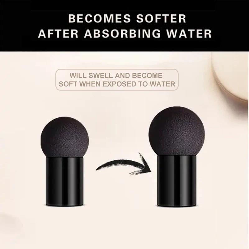 BB Cream Ocheal Mushroom Head Air Cushion 20g